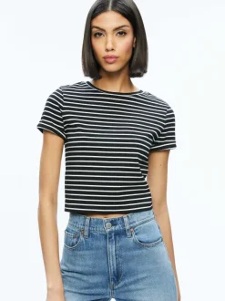 Cindy Classic Cropped Tee