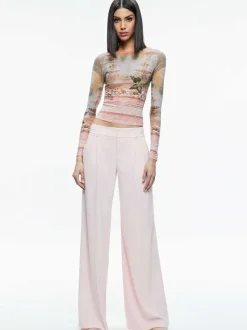 Delaina Printed Mesh Long Sleeve Crop Top