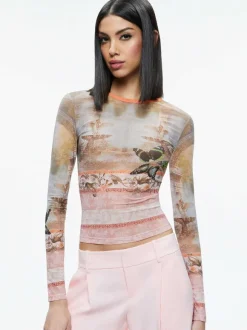 Delaina Printed Mesh Long Sleeve Crop Top