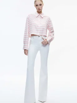 Finely Cropped Oversized Button Down Shirt