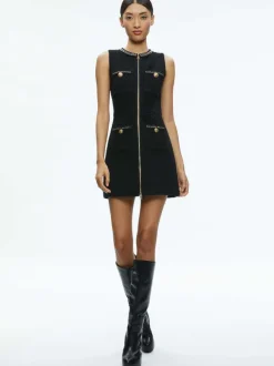 Lachlan Mini Dress