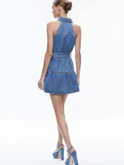 Miranda Sleeveless Mini Denim Dress