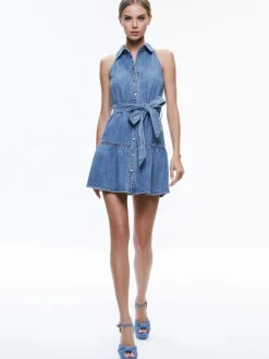 Miranda Sleeveless Mini Denim Dress
