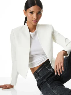 New Harvey Leather Jacket