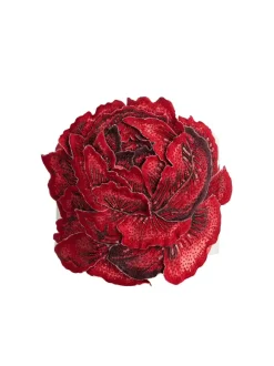Randie Floral Applique Crop Top