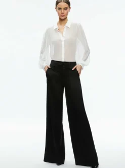 Roanne Sheer Blouse