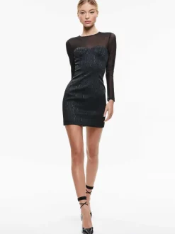 Takako Mesh Crew Neck Mini Dress