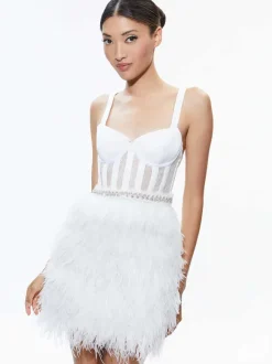 Xia Sheer Bustier Feathered Mini Dress